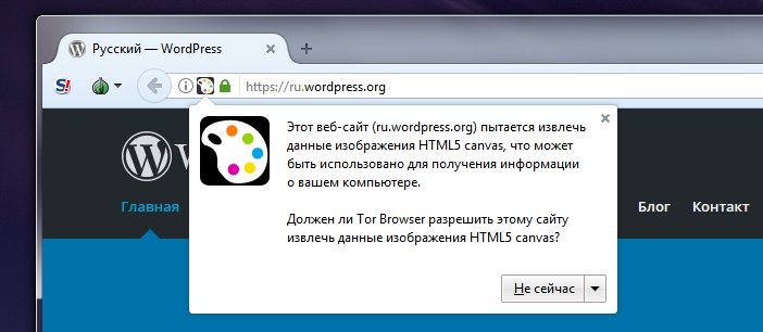 Tor Browser защита от слежения